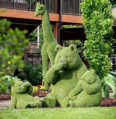 10-10-2024-DASNA FORESTWALK IN GHAZIABAD (1)_Page_41_Image_0004